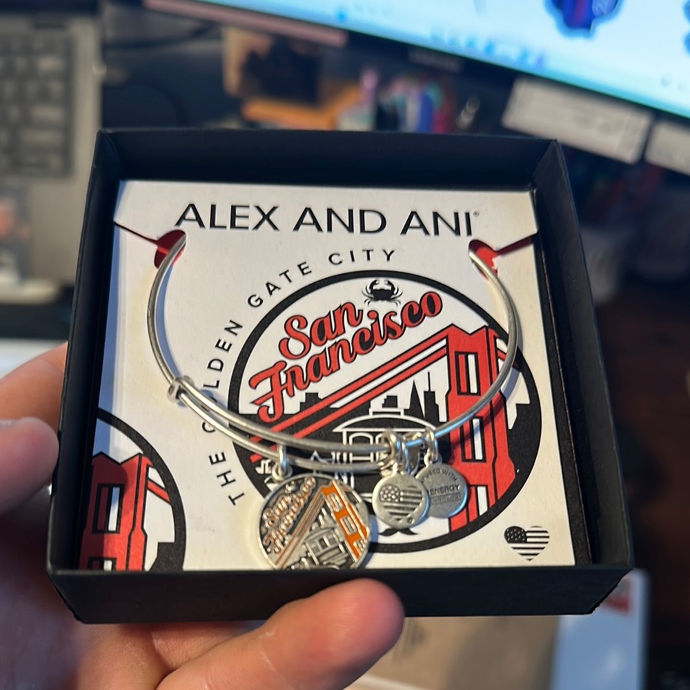 Alex and Ani Silver San Francisco Bracelet